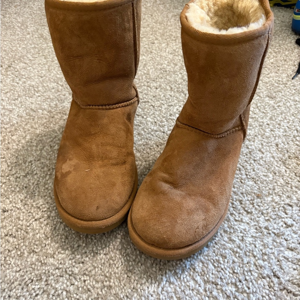 Ugg Cozy Tan Suede Boots